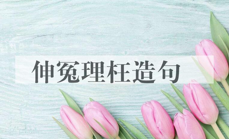 用伸冤理枉造句