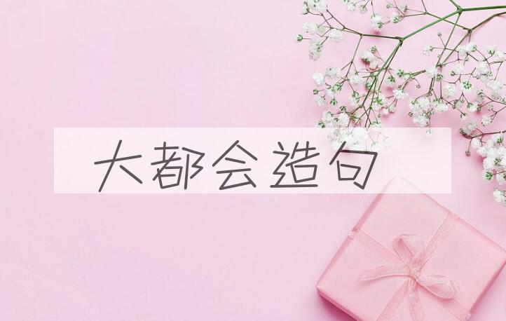 用大都会造句