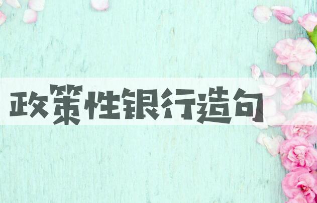 用政策性银行造句