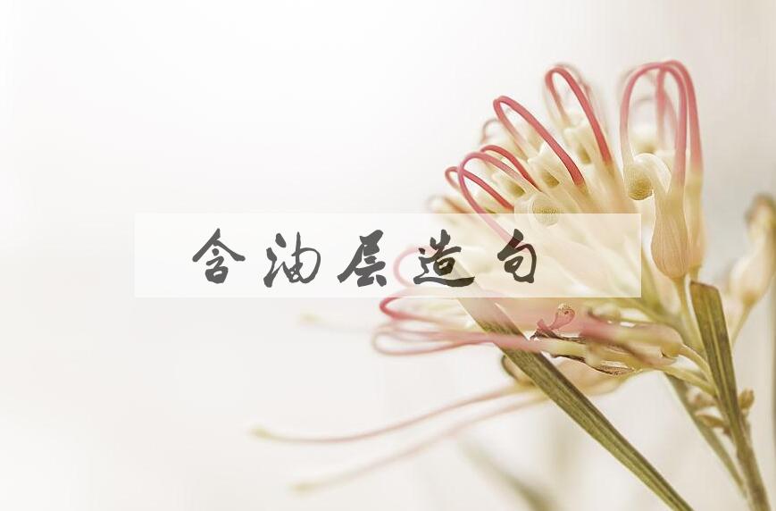 用含油层造句