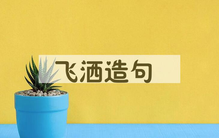 用飞洒造句