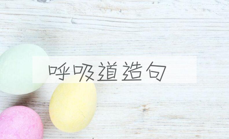 用呼吸道造句
