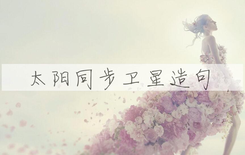 用太阳同步卫星造句