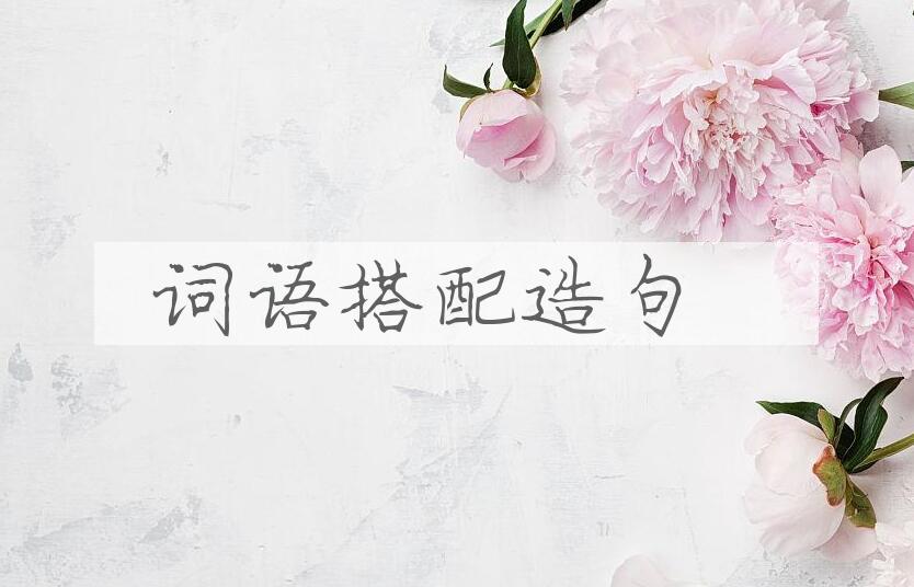 用词语搭配造句
