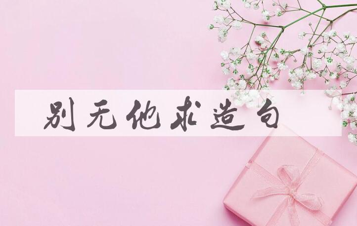用别无他求造句