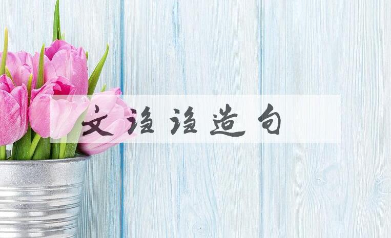 用文诌诌造句