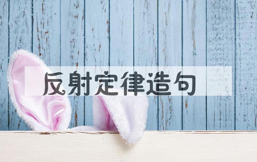 用反射定律造句