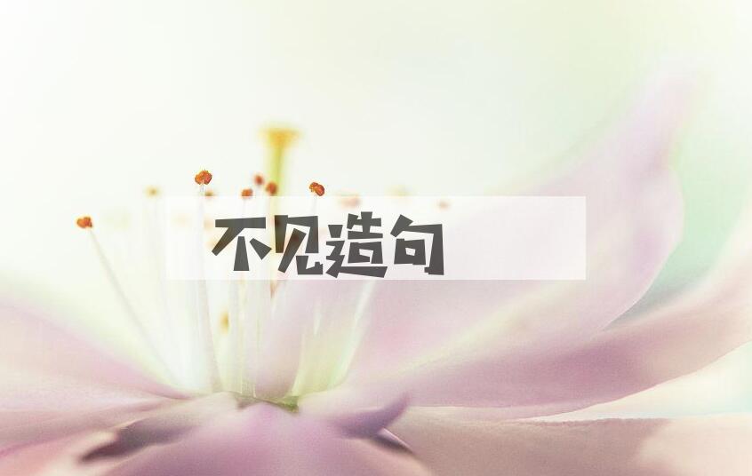 用不见造句