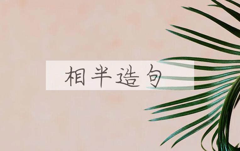 用相半造句
