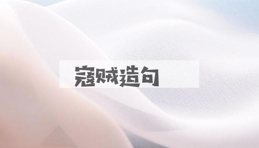 用寇贼造句