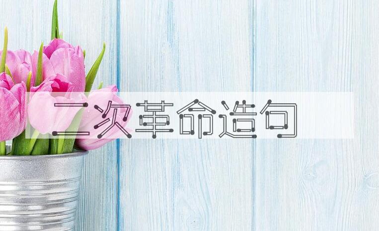 用二次革命造句