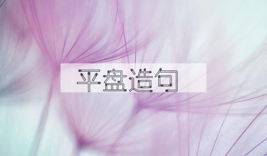 用平盘造句