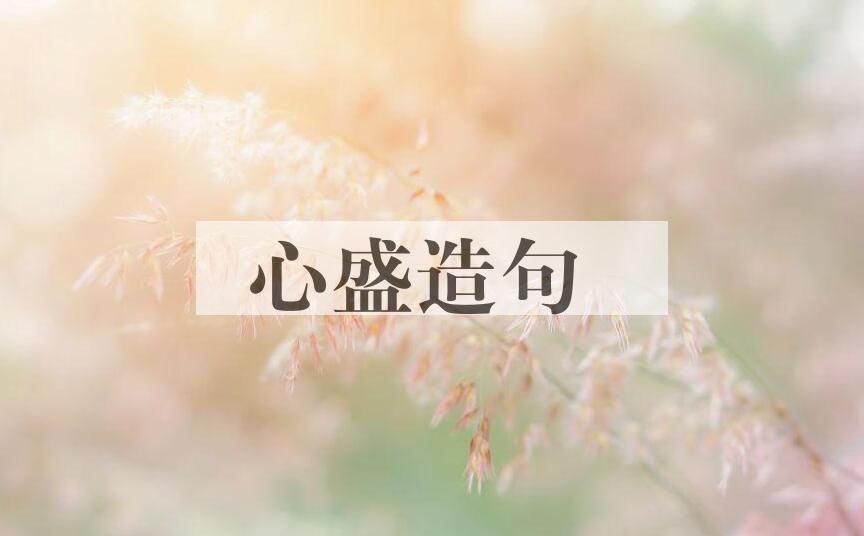 用心盛造句