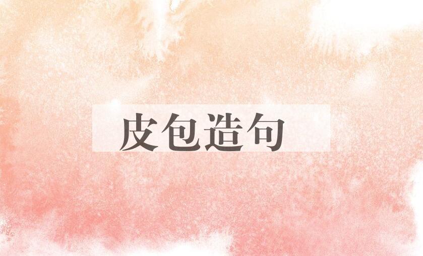 用皮包造句