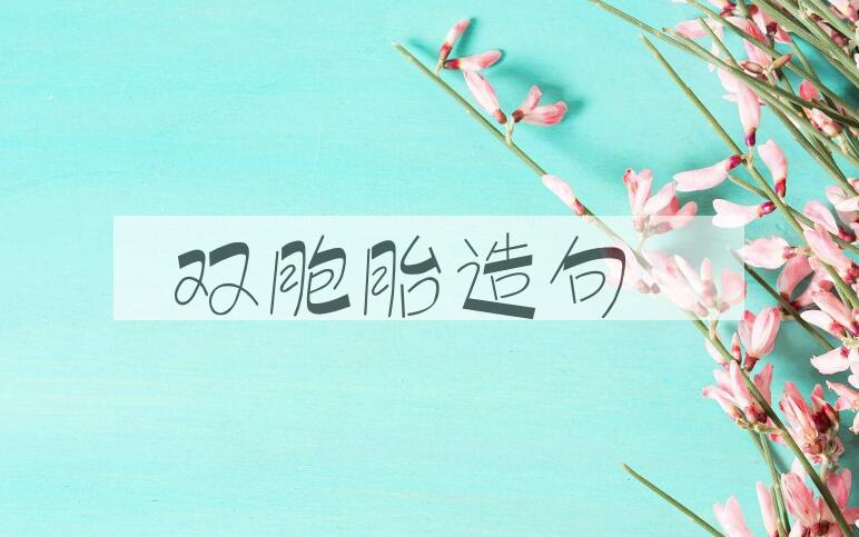 用双胞胎造句