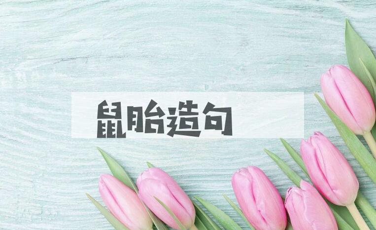 用鼠胎造句