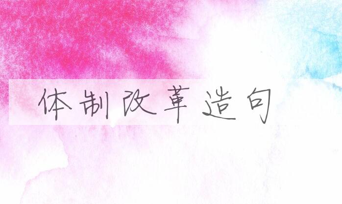 用体制改革造句