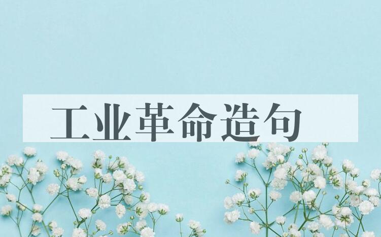 用工业革命造句