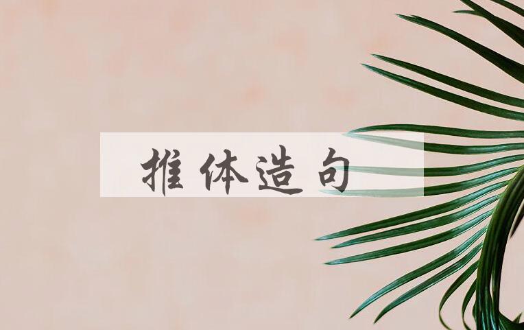用推体造句