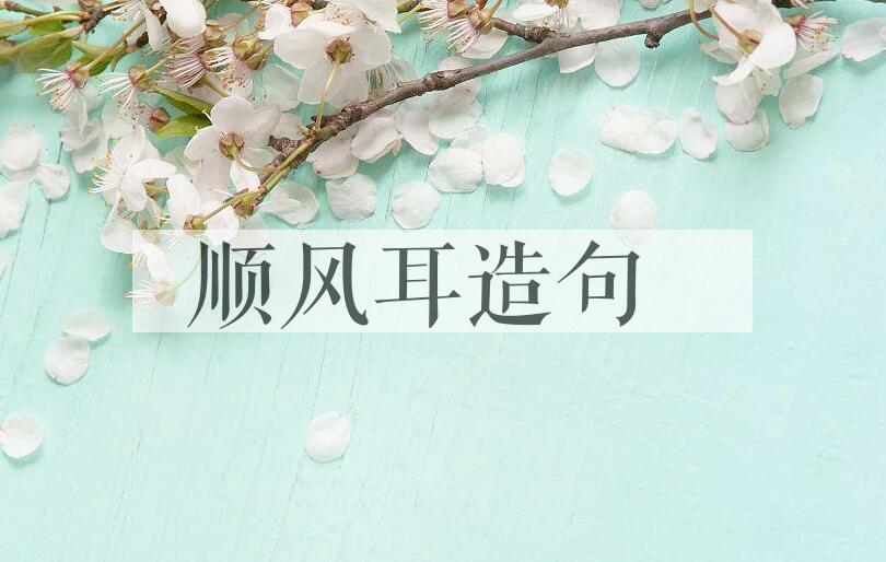 用顺风耳造句