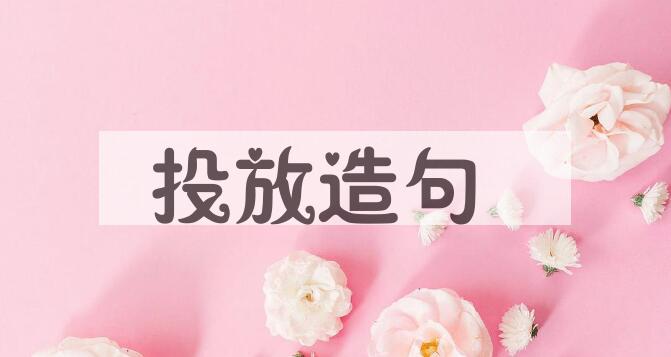 用投放造句
