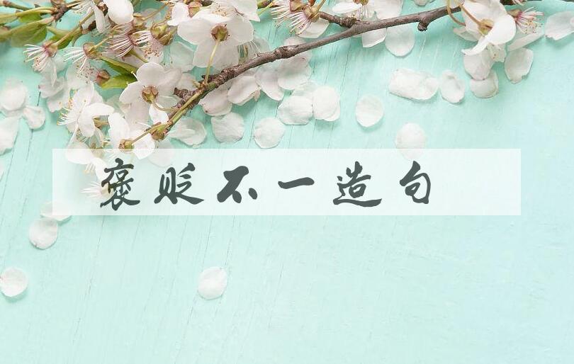 用褒贬不一造句