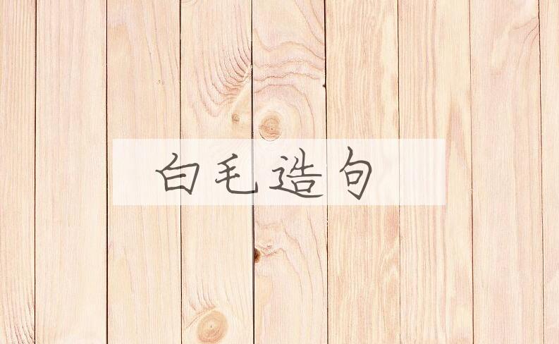 用白毛造句
