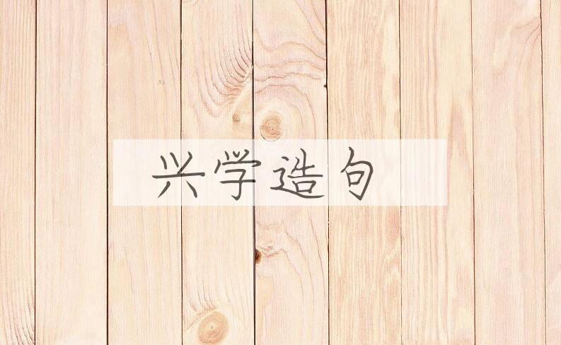 用兴学造句
