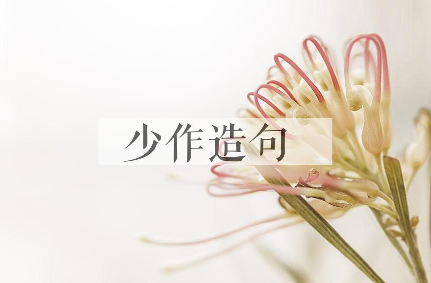 用少作造句