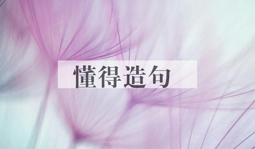 用懂得造句