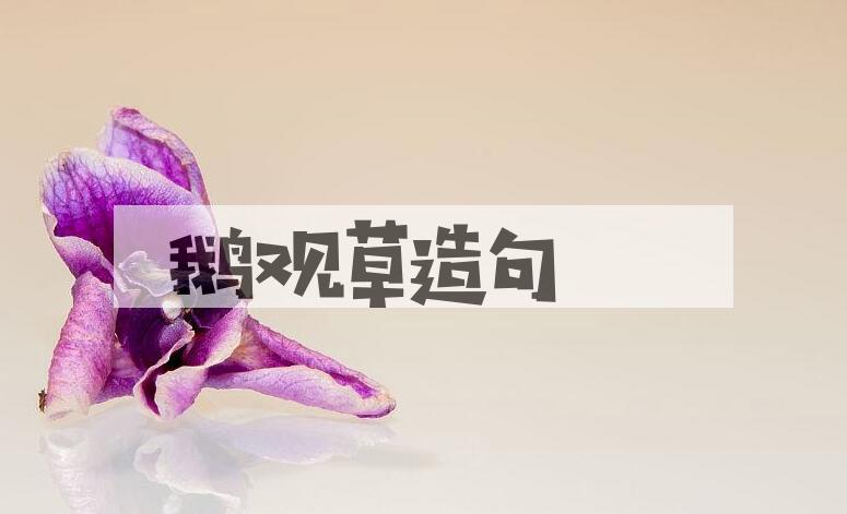 用鹅观草造句