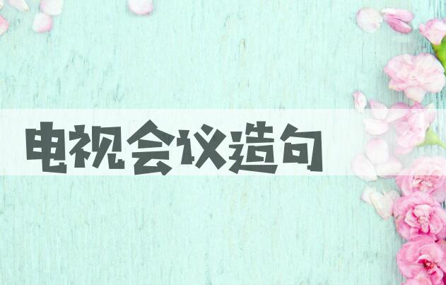 用电视会议造句