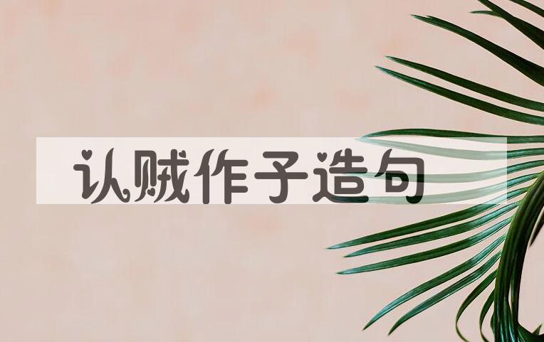 用认贼作子造句