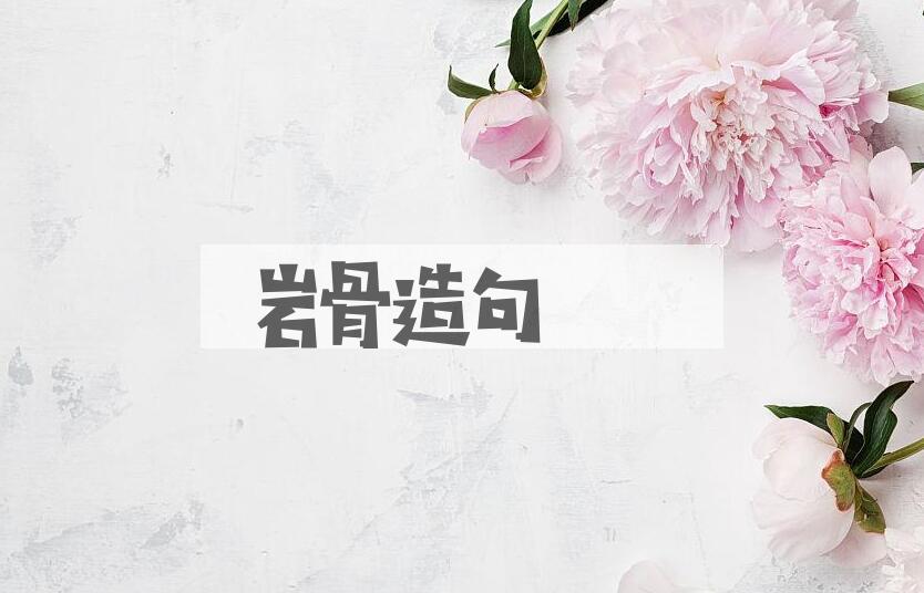 用岩骨造句