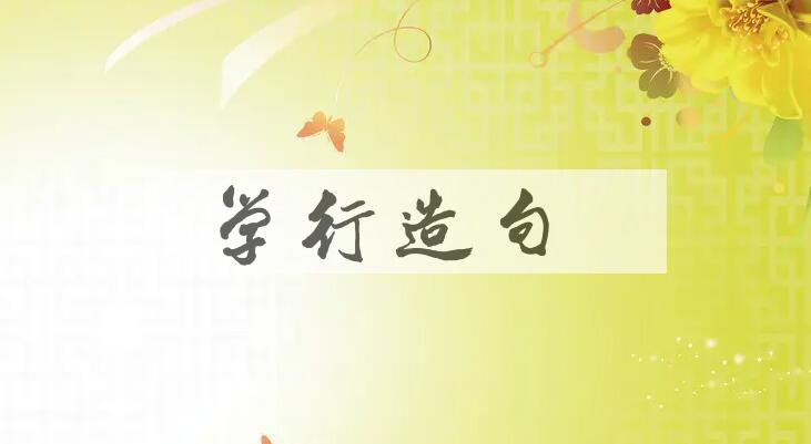 用学行造句