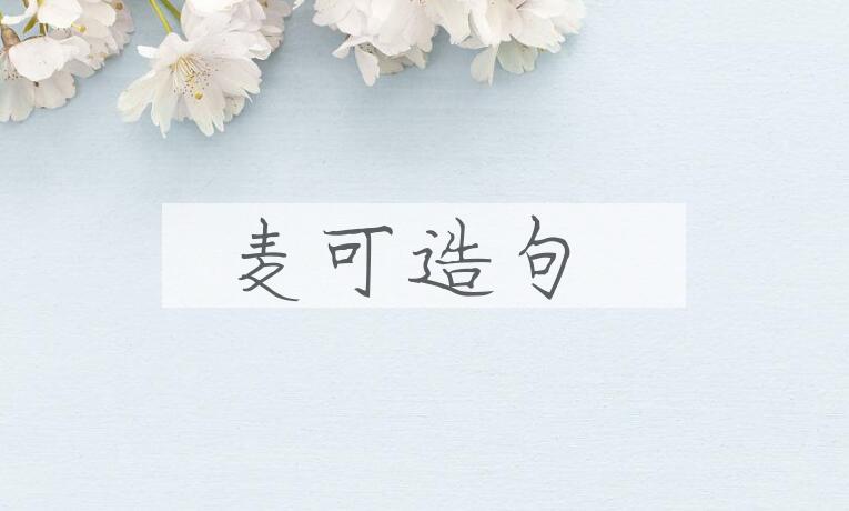 用麦可造句