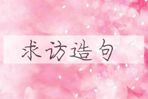 用求访造句