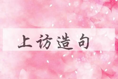 用上访造句