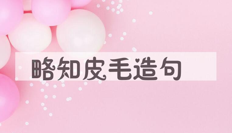 用略知皮毛造句