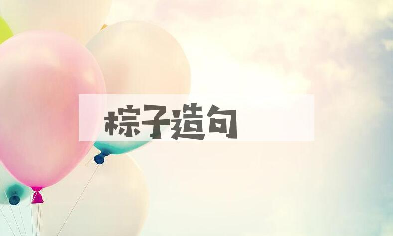 用棕子造句