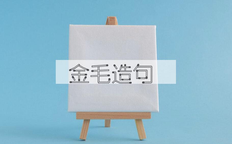 用金毛造句