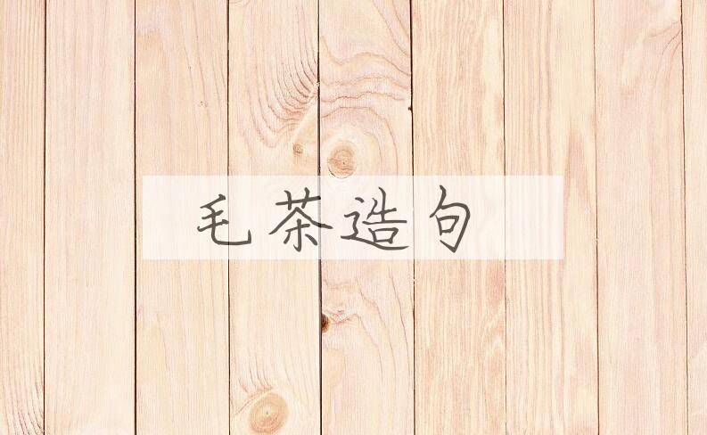 用毛茶造句