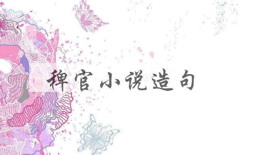 用稗官小说造句