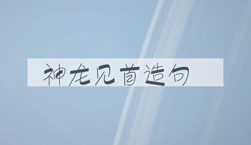 用神龙见首造句