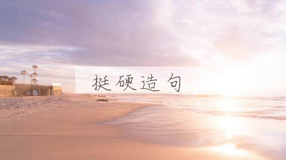 用挺硬造句