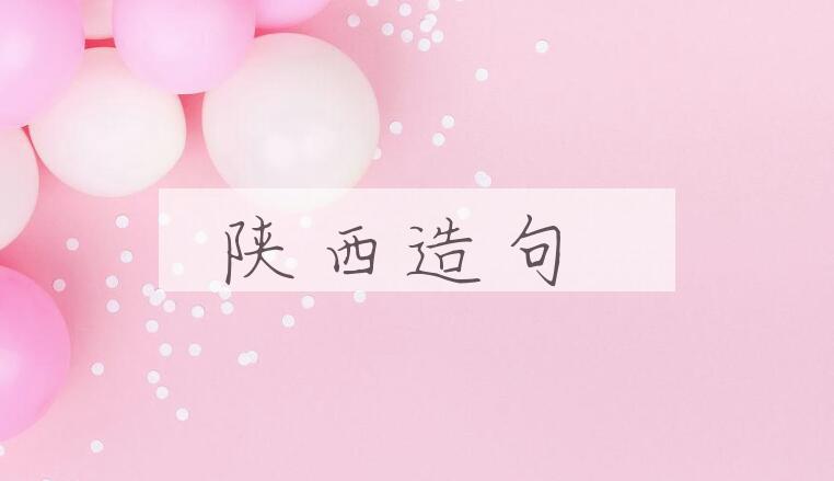 用陕西造句