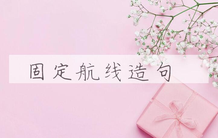 用固定航线造句