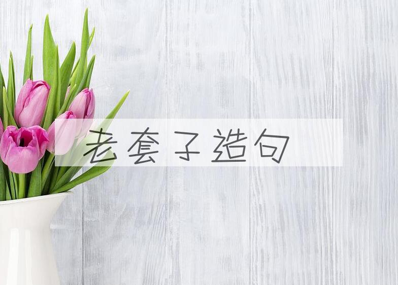 用老套子造句