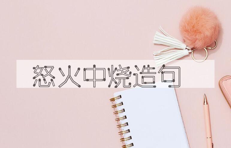用怒火中烧造句