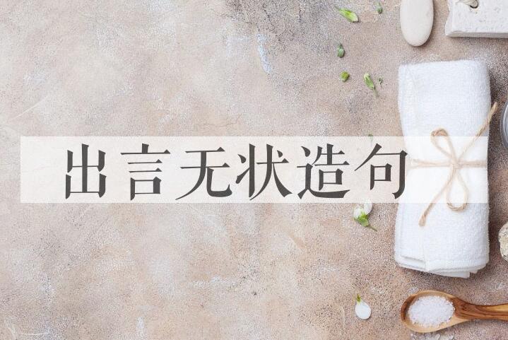 用出言无状造句